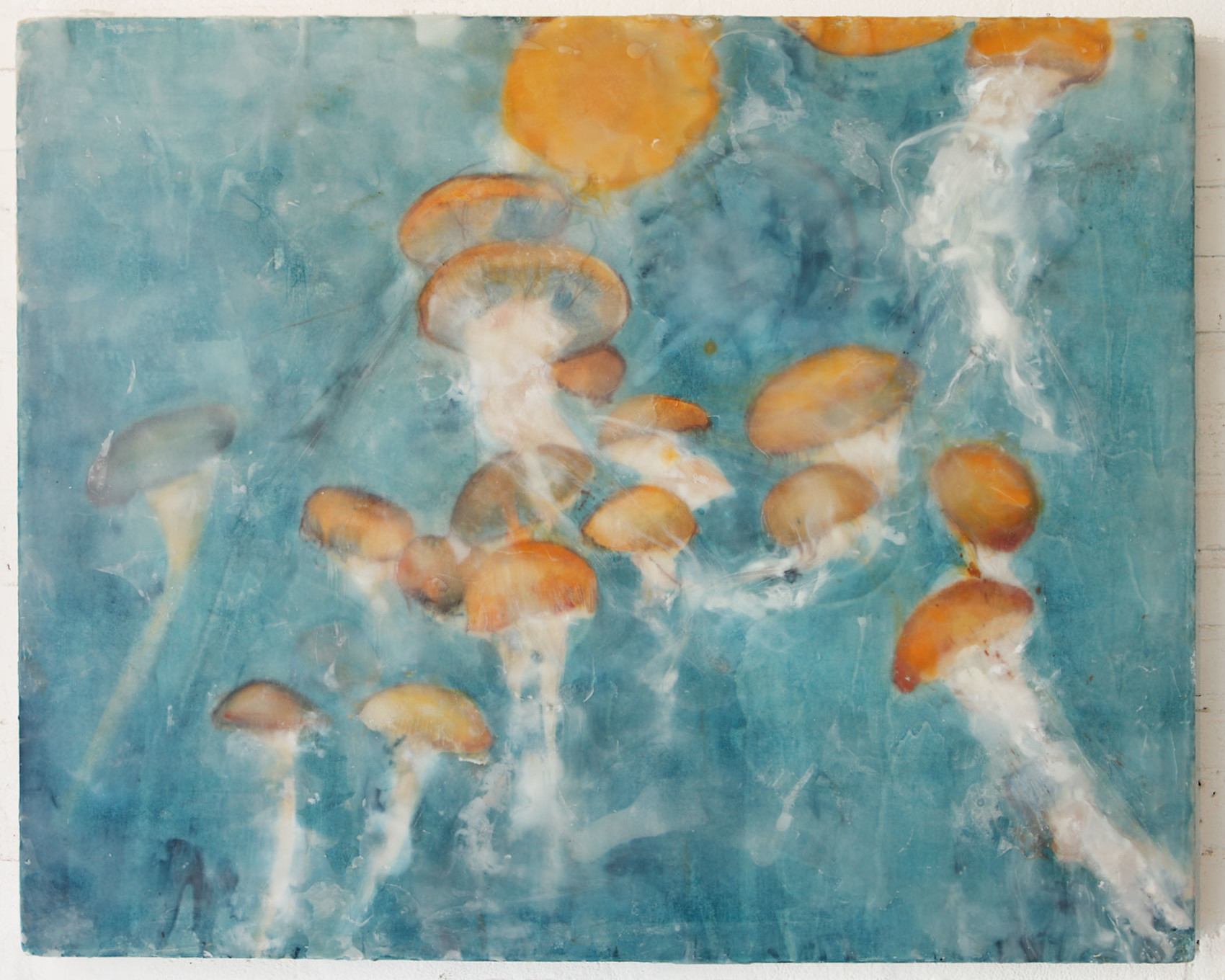 meduse84x100x6