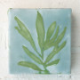 pianta14x14cm (1)
