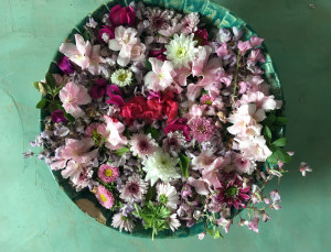 Primavera2